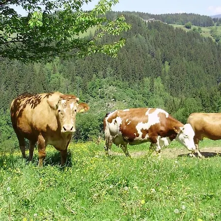 別荘 With 3 Bedrooms Twimberg